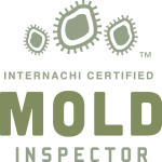 Loudoun mold inspection near me